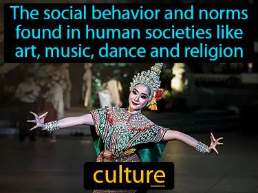 Culture Meaning