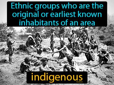 Indigenous Meaning