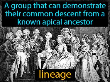 Lineage Meaning