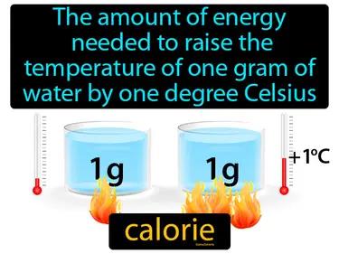 Calorie Meaning