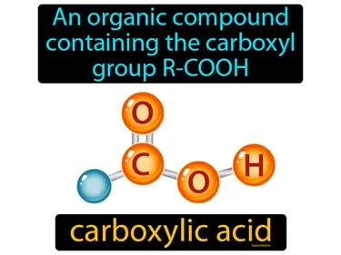 Carboxylic Acid Meaning