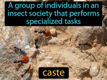 Caste Meaning