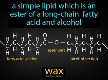 Wax Meaning