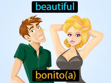 Bonito Meaning