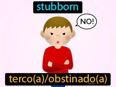 Terco Meaning