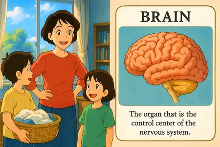 Brain Processing of Senses 4-LS1-2