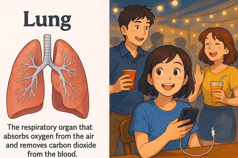 Lung Meaning Lung Meaning