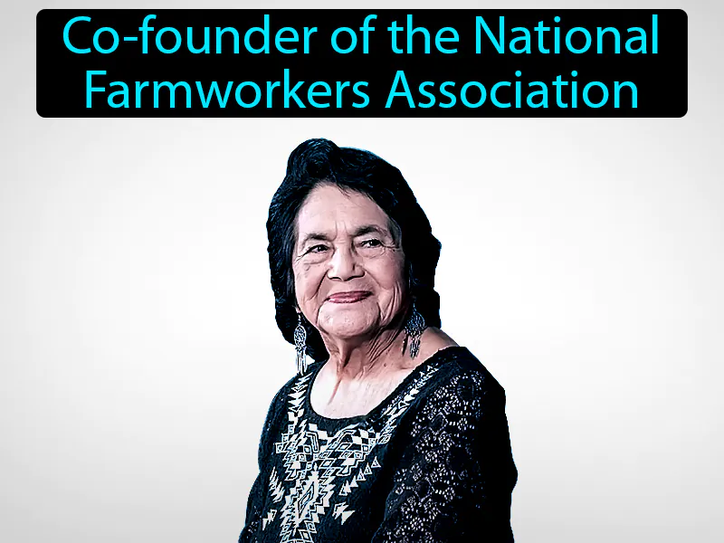 Dolores Huerta Definition Dolores Huerta Definition
