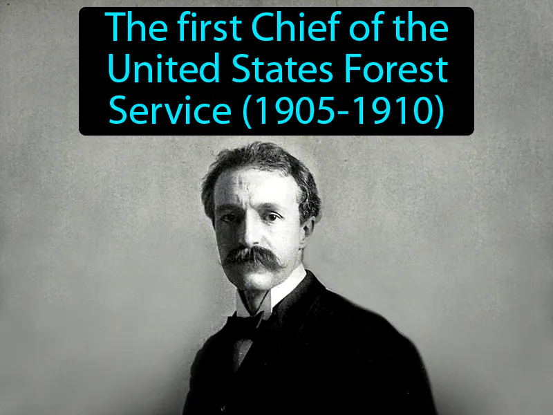 Gifford Pinchot Definition Gifford Pinchot Definition