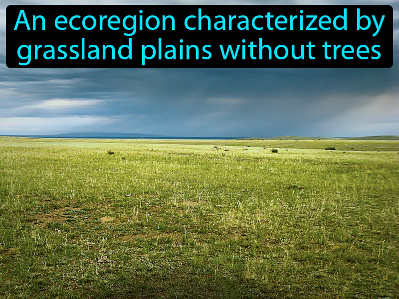 Steppe Definition