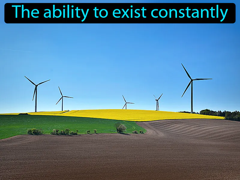 Sustainability Definition Sustainability Definition
