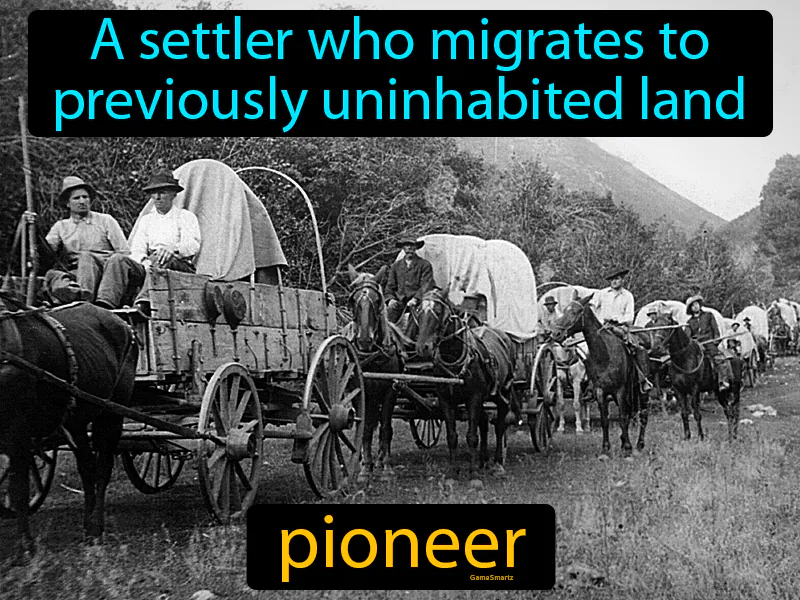 Pioneer Definition Pioneer Definition