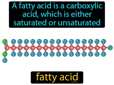 The Chemistry of Life