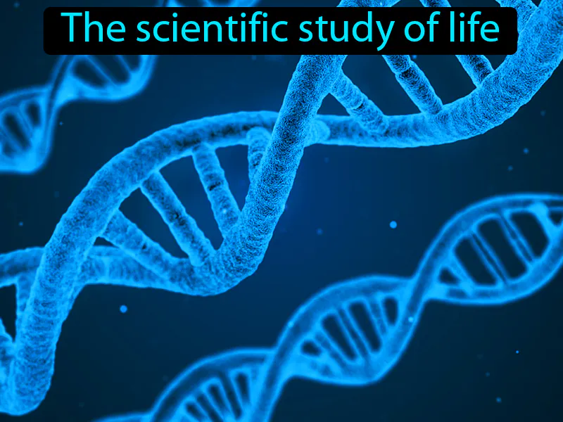 Biology Definition