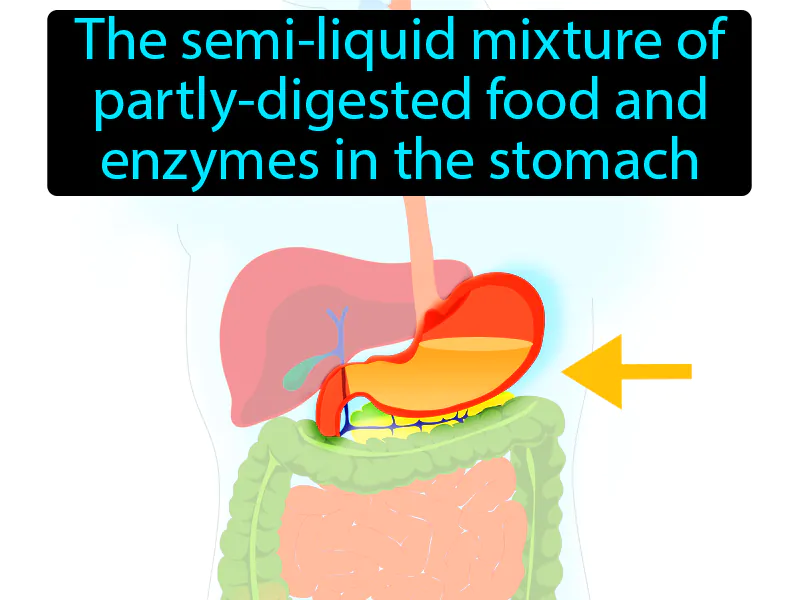 Chyme Definition