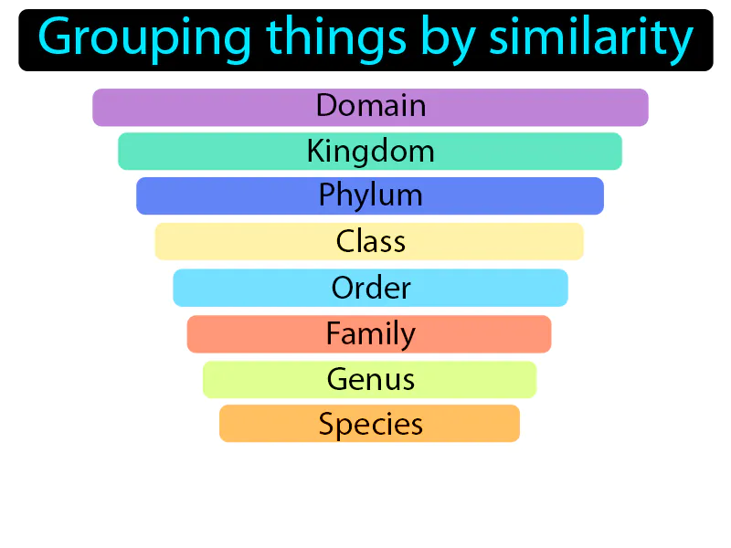 Classification Definition Classification Definition