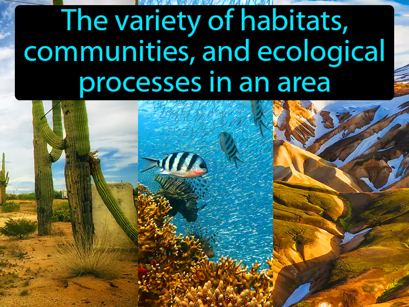 Ecosystem Diversity Definition