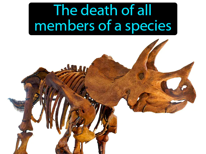 Extinction Definition Extinction Definition