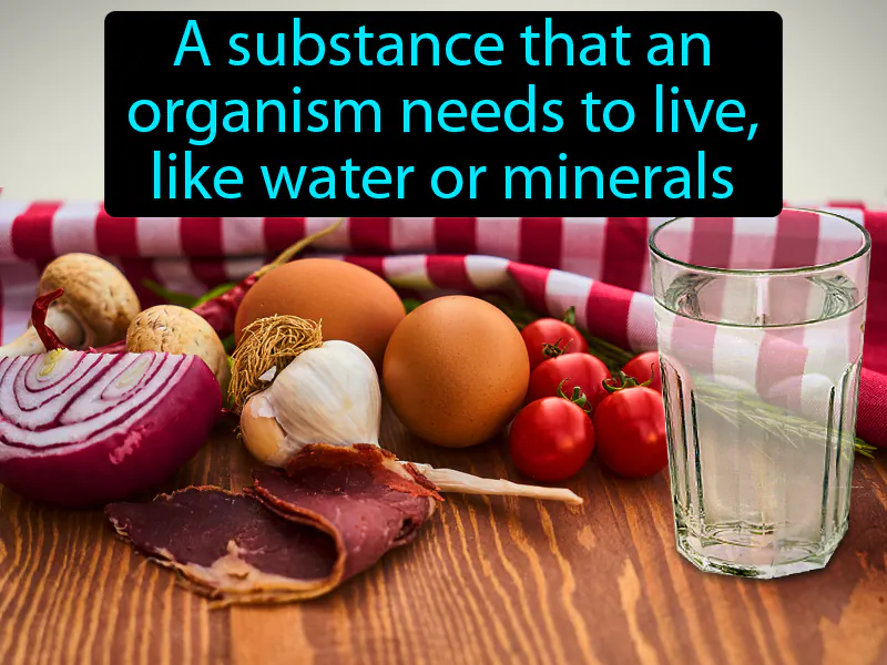 Nutrient Definition