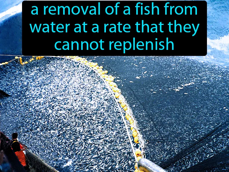 Overfishing Definition Overfishing Definition