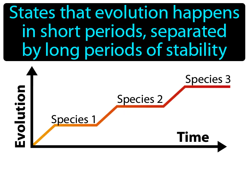 Punctuated Equilibrium Definition