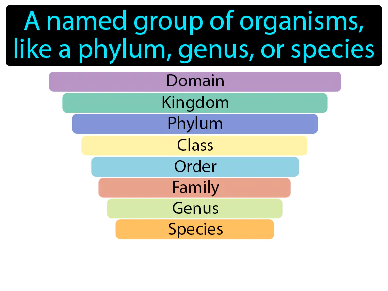 Taxon Definition