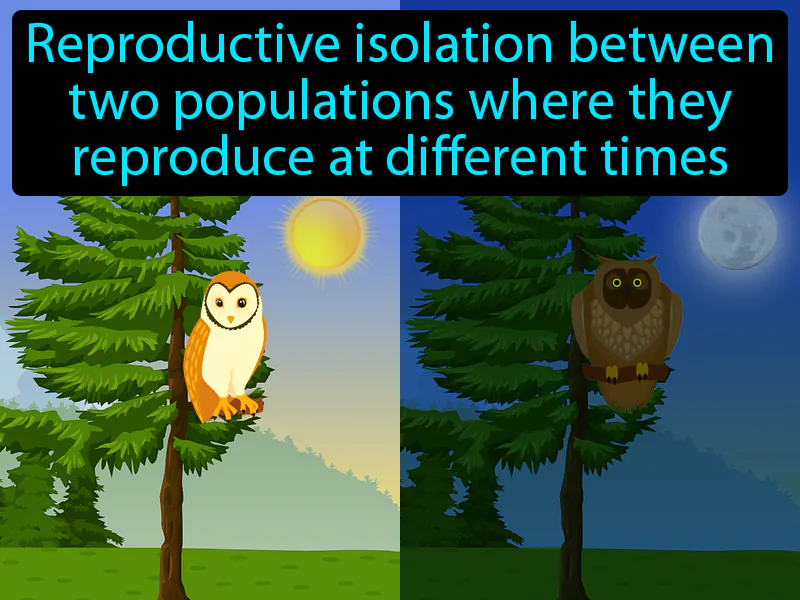 Temporal Isolation Definition