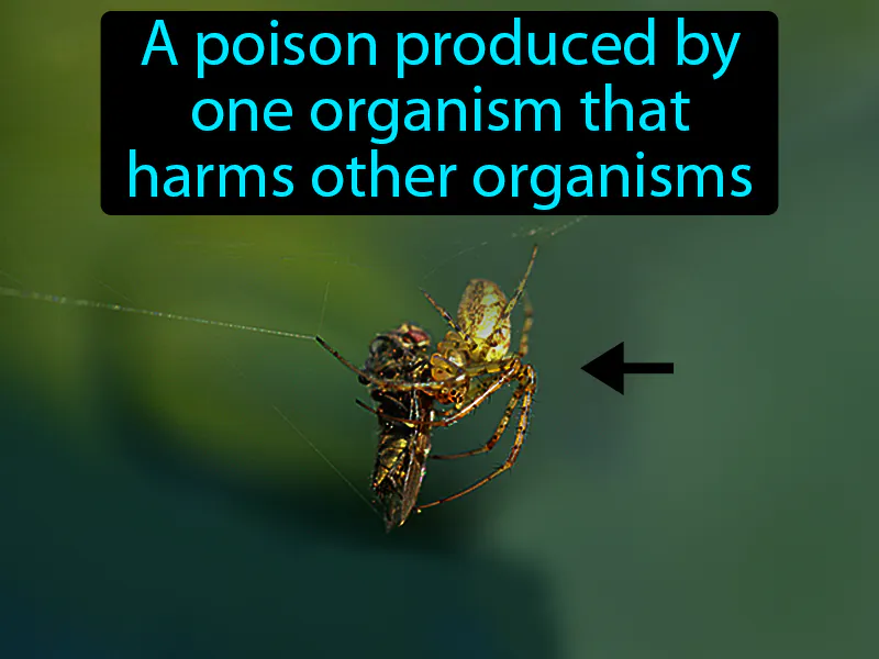 Toxin Definition