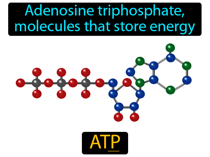 ATP Definition ATP Definition