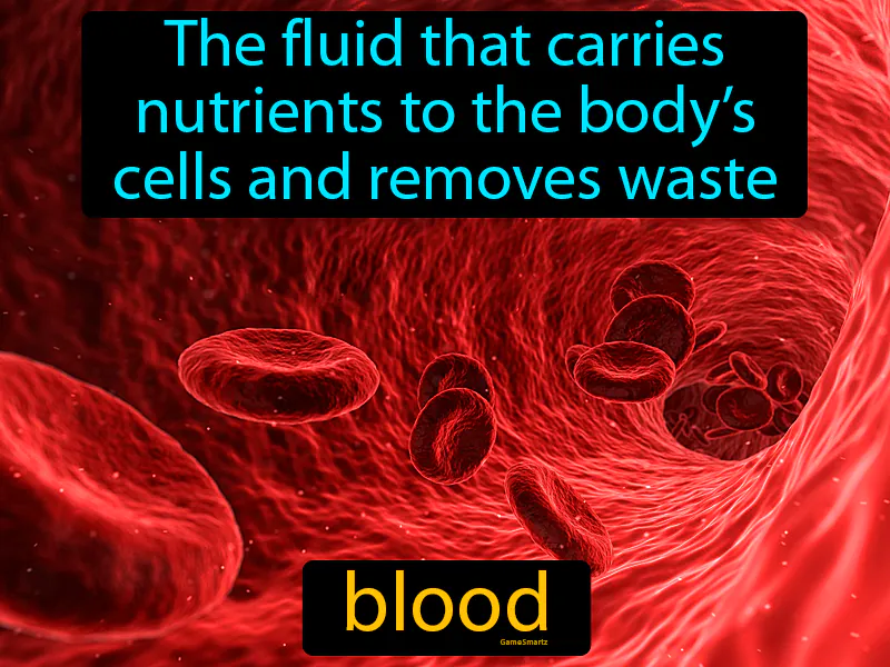 Blood Definition Blood Definition
