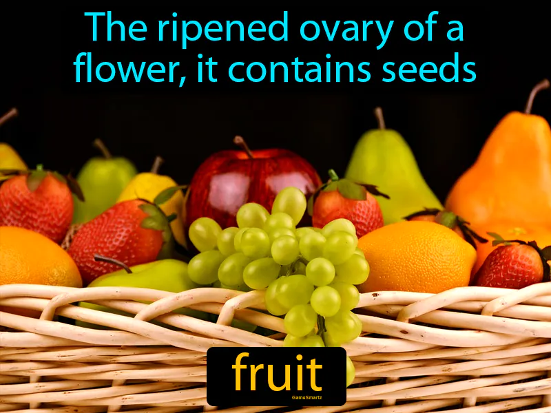 Fruit Definition Fruit Definition
