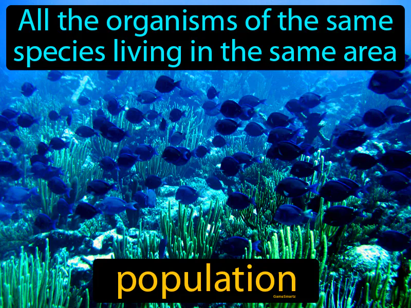 Population Definition Population Definition