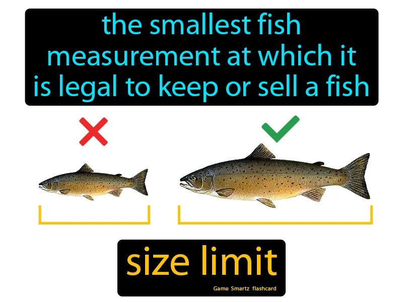 Size Limit Definition Size Limit Definition