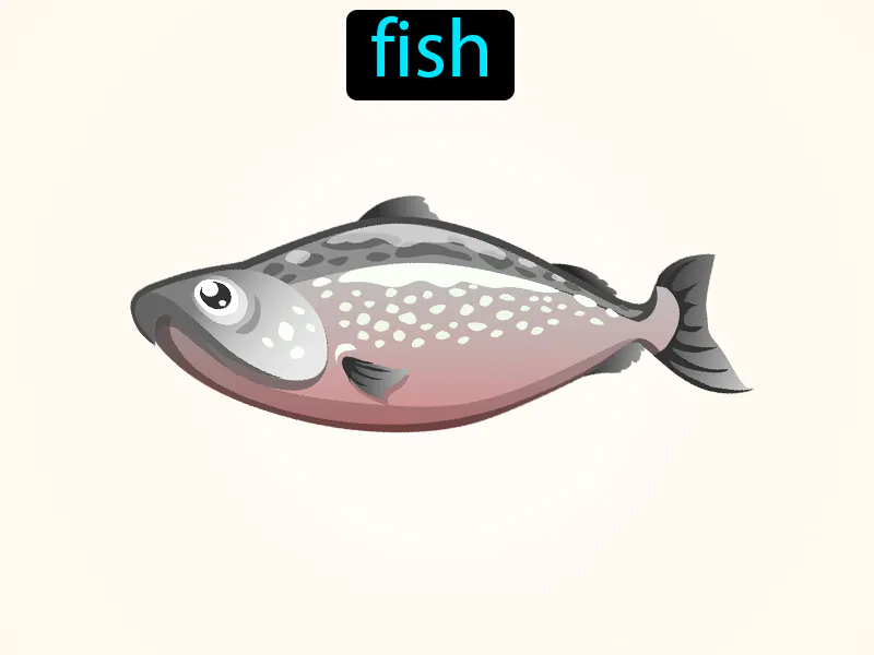 El Pescado Definition El Pescado Definition