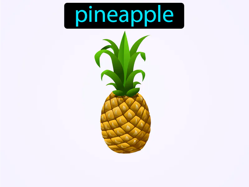 La Pina Definition