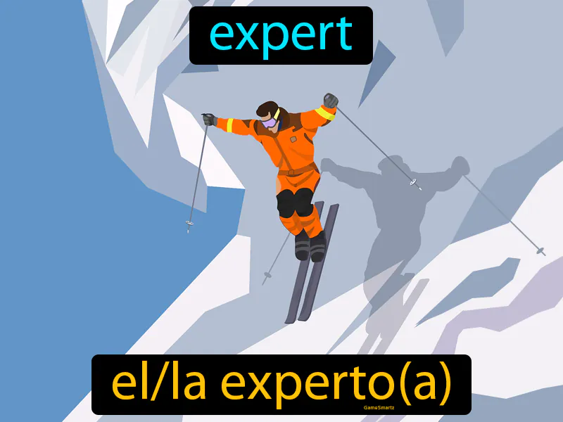 El Experto Definition El Experto Definition